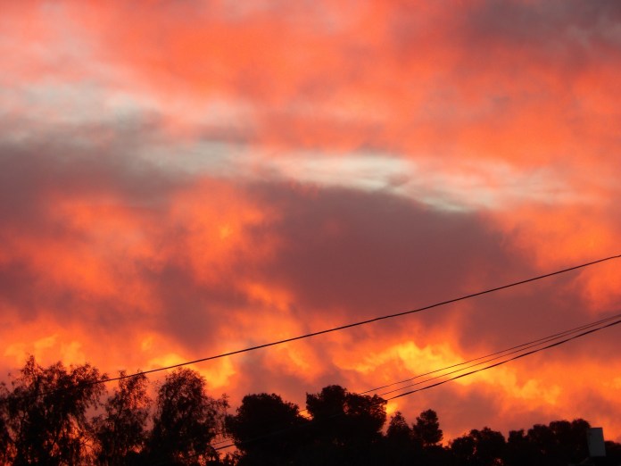 KODAK Digital Still Camera